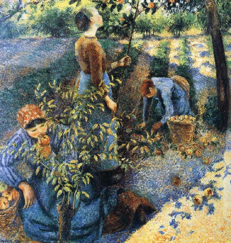 Camille Pissarro Apple picking oil painting picture